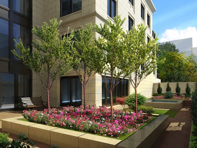 garden.jpg